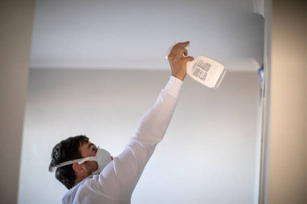 Certified Mold Removal in Little Falls, NY